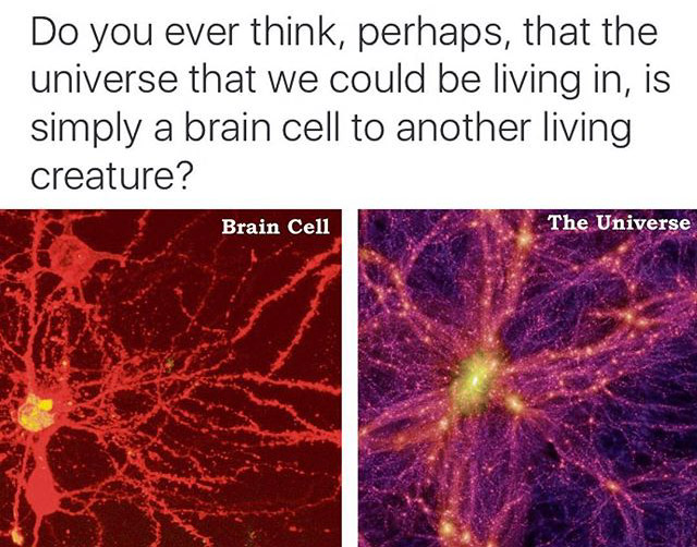brain and the universe - Do you ever think, perhaps, that the universe that we could be living in, is simply a brain cell to another living creature? Brain Cell The Universe