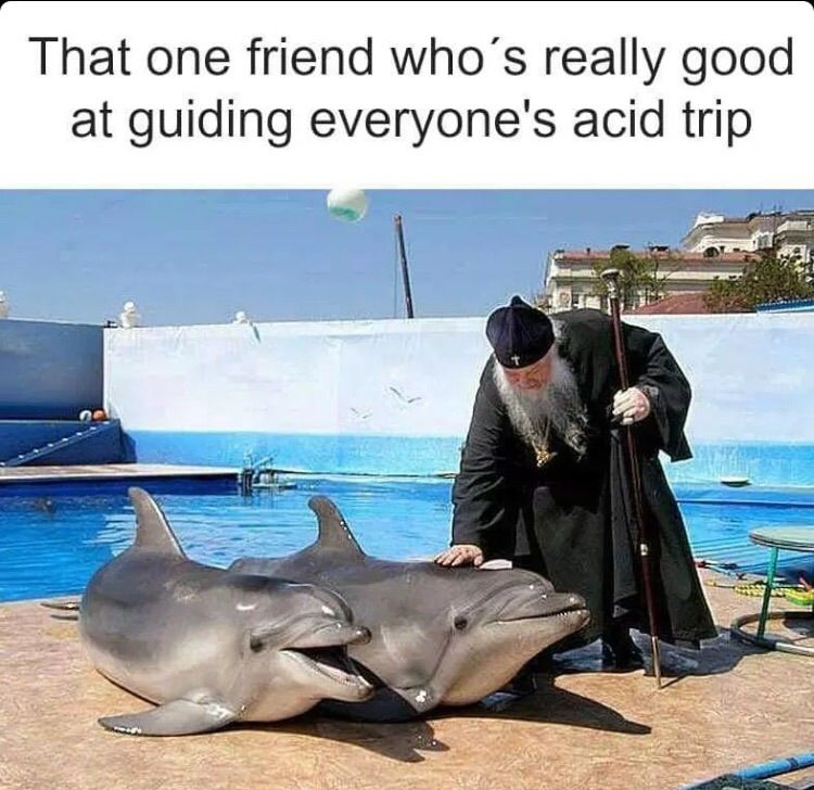 one friend who's really good at guiding everyone's acid trip - That one friend who's really good at guiding everyone's acid trip