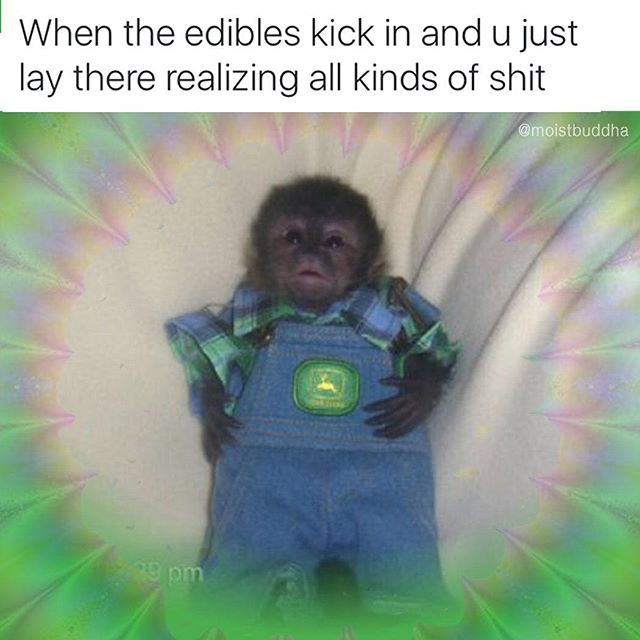 monkey in john deere overalls - When the edibles kick in and u just lay there realizing all kinds of shit