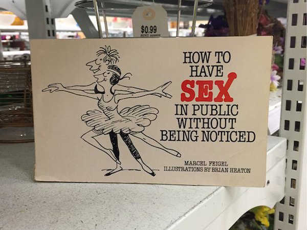 sex drawing books - $0.99 Pe How To Have Sex In Public Without Being Noticed Marcel Feigel Illustrations By Brian Heaton