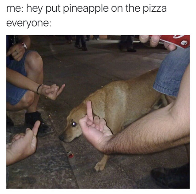 internet pineapple on pizza dog meme - me hey put pineapple on the pizza everyone