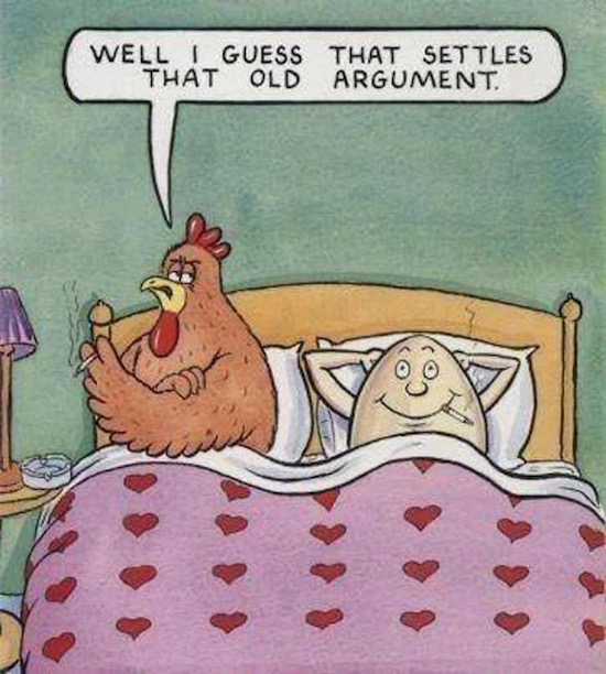 came first the chicken or the egg - Well I Guess That Settles That Old Argument.
