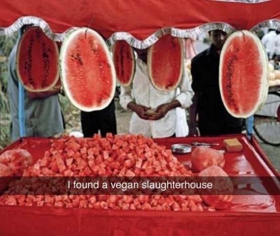 savage vegan memes - I found a vegan slaughterhouse
