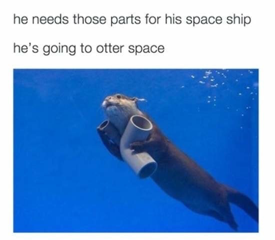 random pic otter memes - he needs those parts for his space ship he's going to otter space