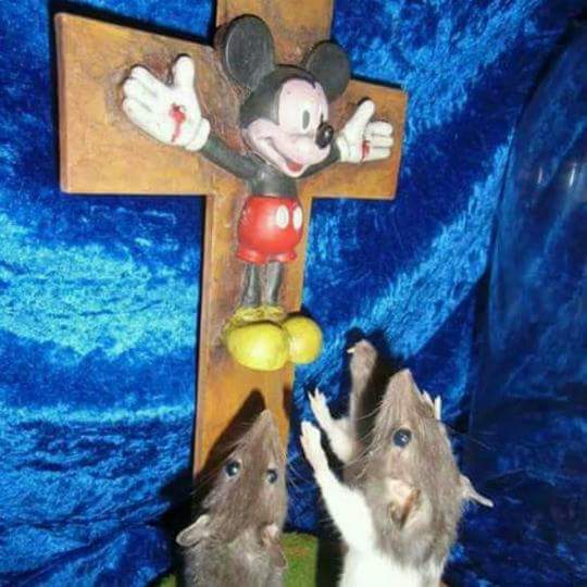 mice worshipping mickey mouse