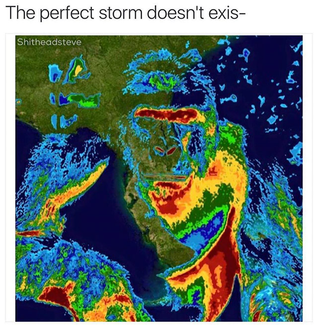 harambe hurricane meme - The perfect storm doesn't exis Shitheadsteve