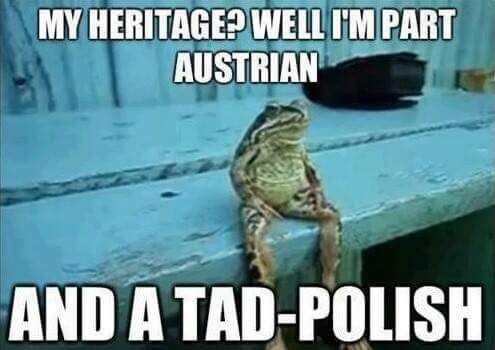 funny pun - My Heritage? Well I'M Part Austrian And A TadPolish