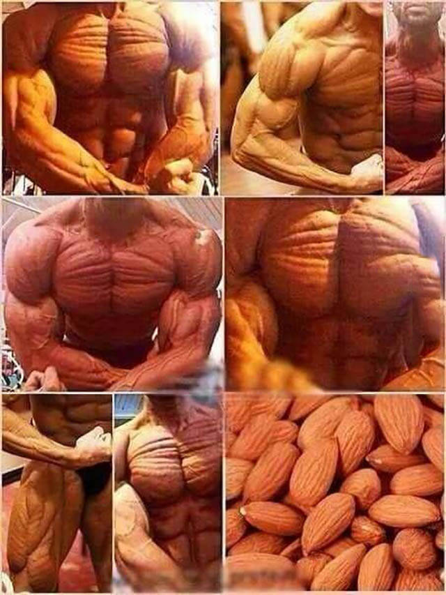 almond bodybuilder meme