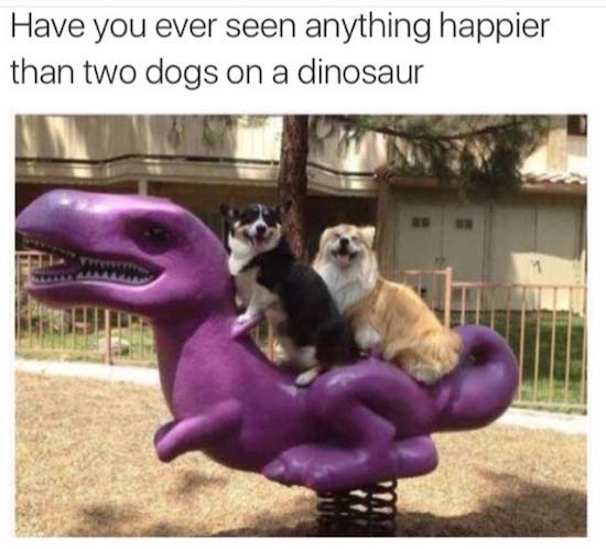 dinosaur dog meme - Have you ever seen anything happier than two dogs on a dinosaur