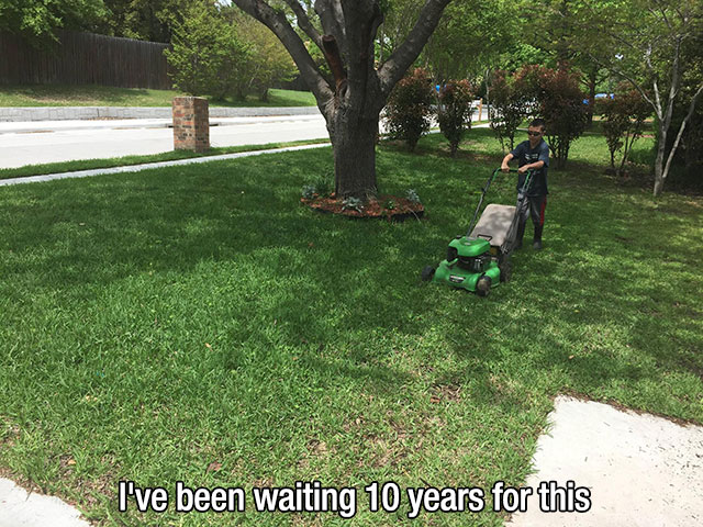 lawn - I've been waiting 10 years for this
