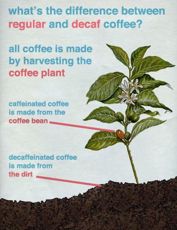 decaf coffee made - what's the difference between regular and decaf coffee? all coffee is made by harvesting the coffee plant caffeinated coffee is made from the coffee bean decaffeinated coffee is made from the dirt
