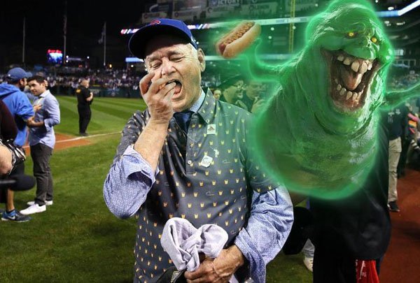 Bill Murray's Cubs Win Reaction Gets Hilarious Photoshop Treatment