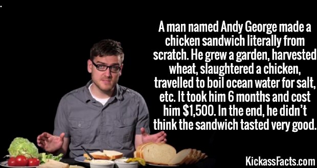 photo caption - Aman named Andy George made a chicken sandwich literally from scratch. He grew a garden, harvested wheat, slaughtered a chicken, travelled to boil ocean water for salt, etc. It took him 6 months and cost him $1,500. In the end, he didn't t