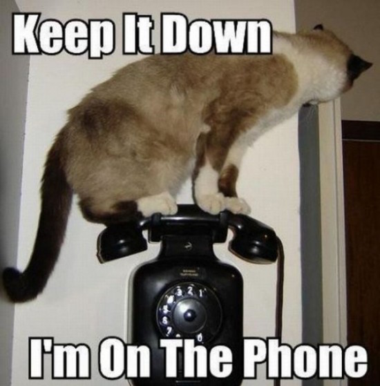 keep it down i m on the phone - Keep It Down I'm on The Phone