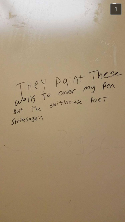 shithouse poet - THey Paint These walls to cover my pen But the shithouse Poct Strikes again