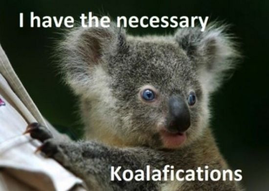 have the necessary koalafications - I have the necessary Koalafications