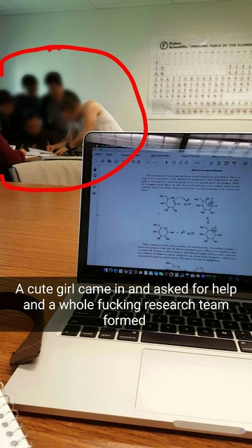 cute girl asked for help - A cute girl came in and asked for help and a whole fucking research team formed
