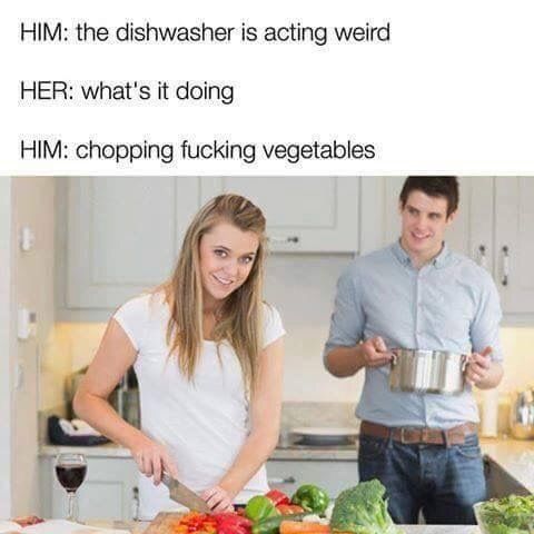 dishwasher is acting weird - Him the dishwasher is acting weird Her what's it doing Him chopping fucking vegetables