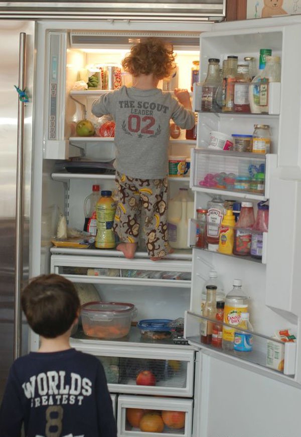 kids in the fridge - Llc The Scout Leader 02 Worlds