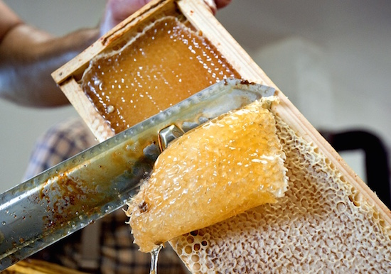 extract honey from honeycomb