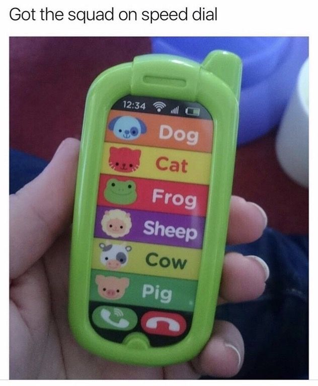 got the squad on speed dial - Got the squad on speed dial w Dog Cat Frog Sheep Cow ... Pig