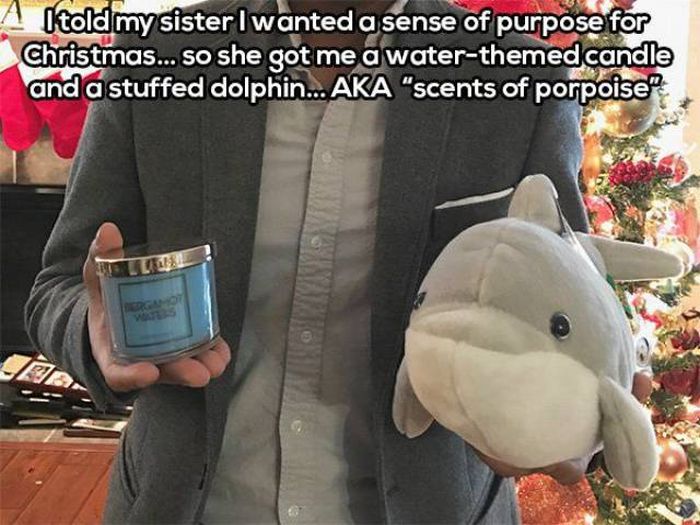 plush - Altold my sister wanted a sense of purpose for Christmas... so she got me a waterthemed candle and a stuffed dolphin... Aka "scents of porpoise