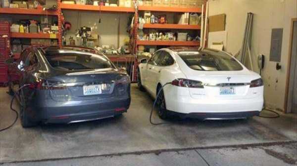 32 Hilariously Creative Tesla License Plates