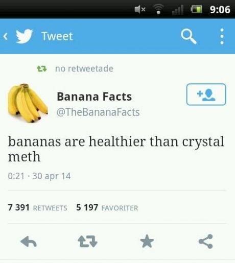 life advice lamp memes - x. sy Tweeta 23 no retweetade Banana Facts bananas are healthier than crystal meth .30 apr 14 7 391 5 197 Favoriter