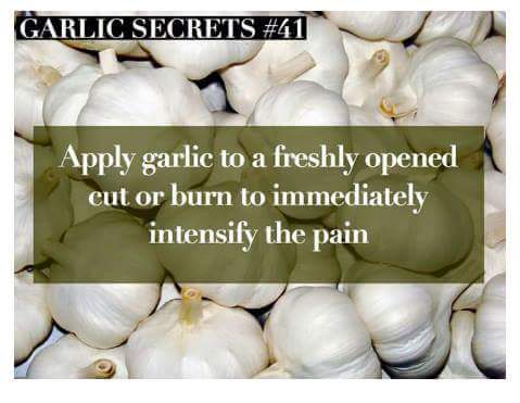 garlic secrets - Garlic Secrets Apply garlic to a freshly opened cut or burn to immediately intensify the pain