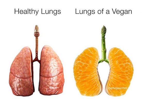 lungs of a vegan - Healthy Lungs Lungs of a Vegan memegourmet