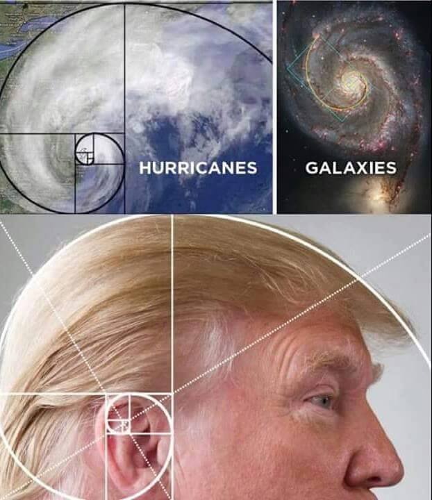donald trump fibonacci - Hurricanes Galaxies
