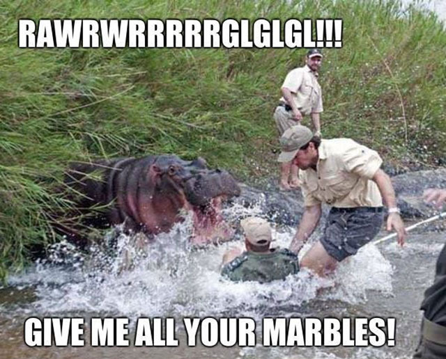 random give me all your marbles - Rawrwrrrrrglglgl!!! Give Me All Your Marbles!