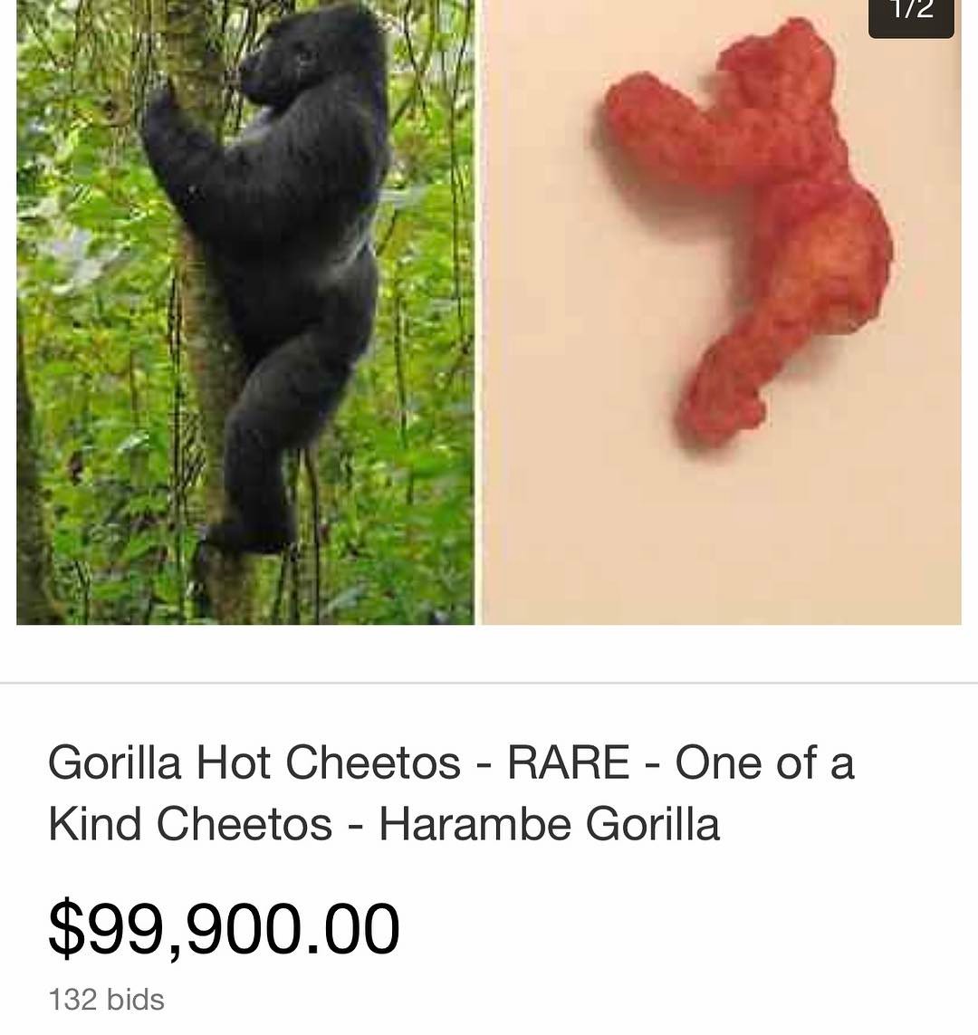 harambe cheeto - 172 Gorilla Hot Cheetos Rare One of a Kind Cheetos Harambe Gorilla $99,900.00 132 bids