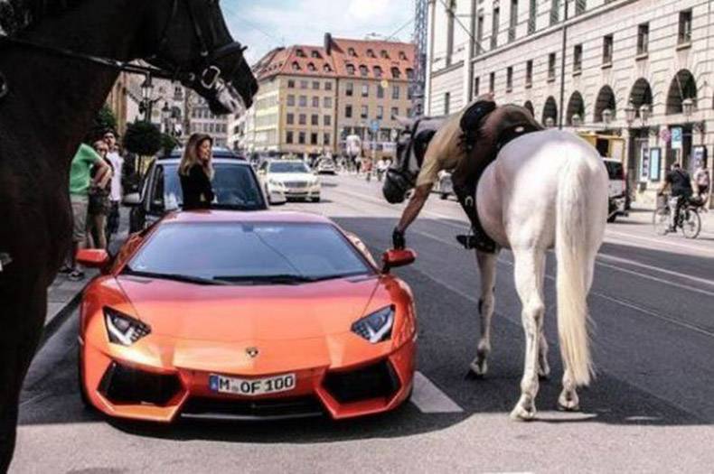 lambo horse - M Of 100