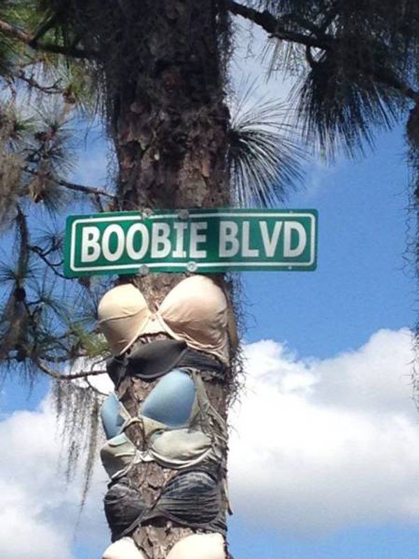 Photograph - Boobie Blvd