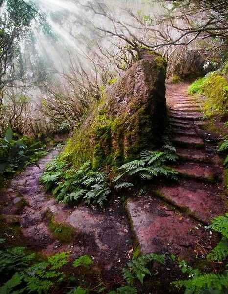 Madeira Island in Portugal