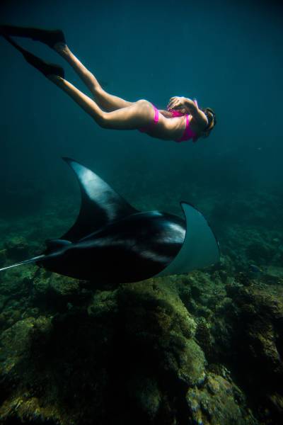 Alison Teal set out in the middle of the night to free dive with Manta Rays off the coast of Hawaii.