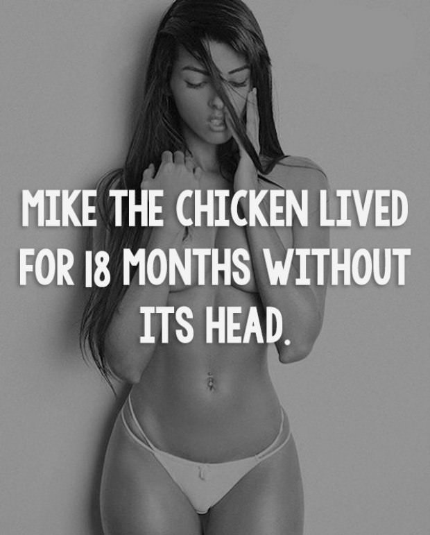Hot Chicks With Interesting Tidbits of Knowledge