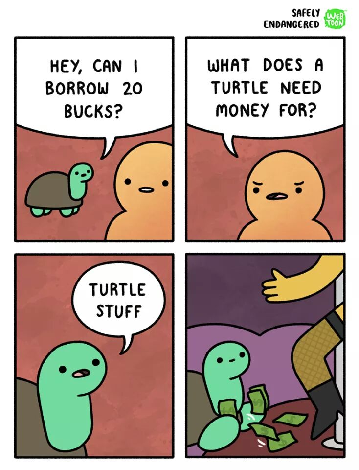 turtle stuff meme - Safely Endangered Toon Hey, Can I Borrow 20 Bucks? What Does A Turtle Need Money For? Turtle Stuff 10