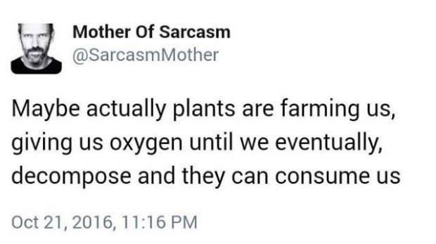 immature men memes - Mother Of Sarcasm Maybe actually plants are farming us, giving us oxygen until we eventually, decompose and they can consume us ,