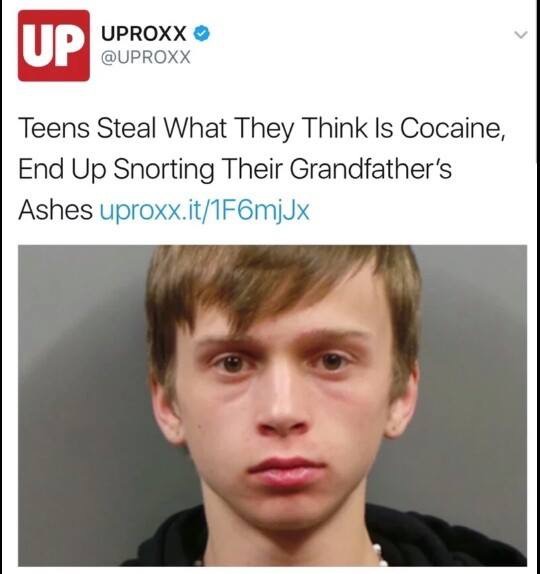snort grandfather's ashes - Ind Uproxx Teens Steal What They Think Is Cocaine, End Up Snorting Their Grandfather's Ashes uproxx.it1F6mjjx