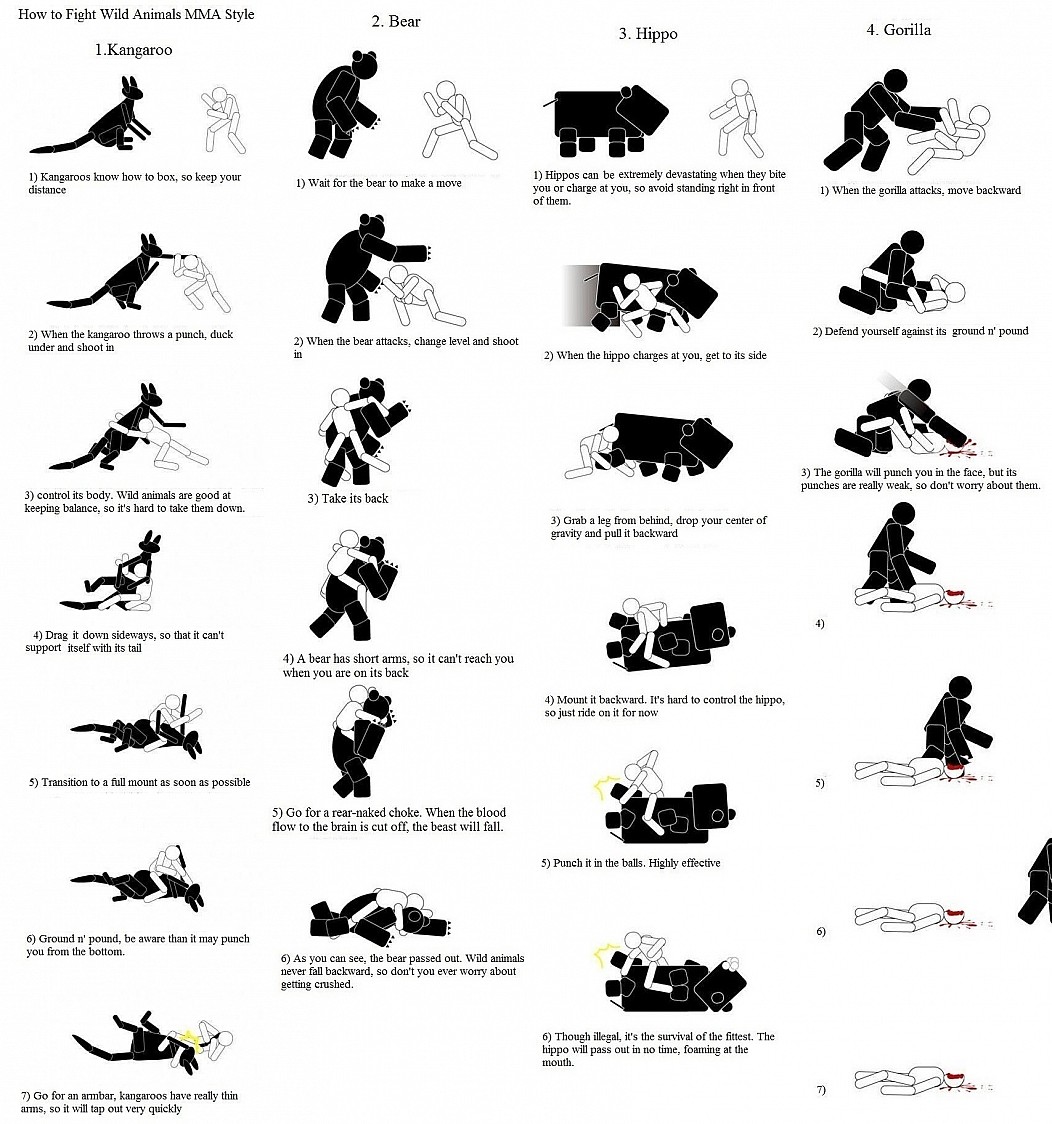 fight wild animals mma style - How to Fight Wild Animals Mma Style 2. Bear 3. Hippo 4. Gorilla 1. Kangaroo 1 Kangaroos know how to box, so keep your distance 1 Wait for the bear to make a move 1 Hippos can be extremely devastating when they bite you or ch