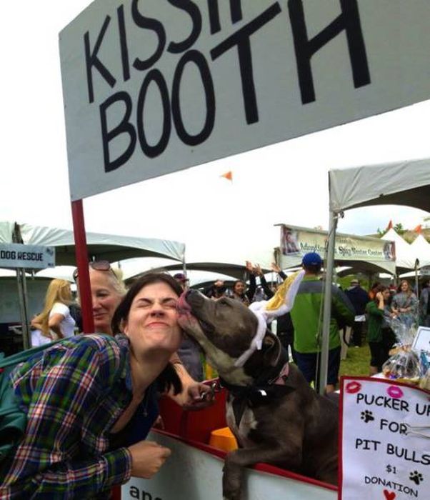 pitbull kissing booth - Booth So Dog Hescue Pucker Uf For Pit Bulls $1 Donation an