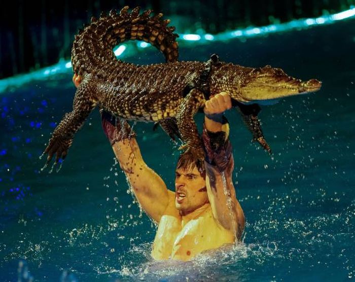 lifting alligator