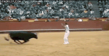 bullfights gif