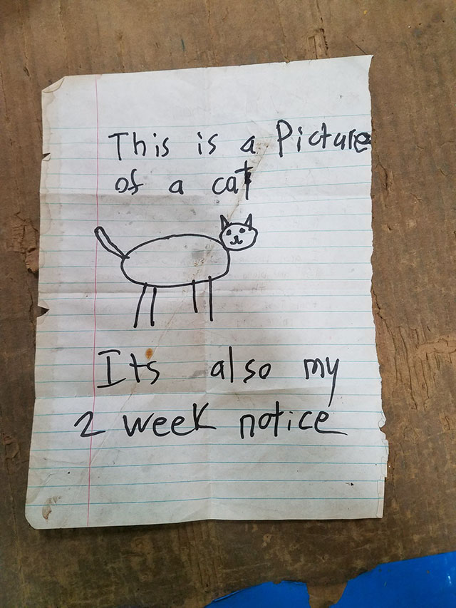 funny 2 weeks notice - Picture This is a of a cat It's also my 2 week notice