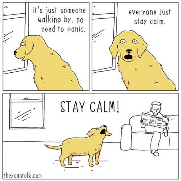 they can talk stay calm - it's just someone walking by, no need to panic. everyone just stay calm. Stay Calm! theycantalk.com