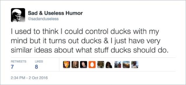 twitter jokes - Sad & Useless Humor sadanduseless I used to think I could control ducks with my mind but it turns out ducks & I just have very similar ideas about what stuff ducks should do.