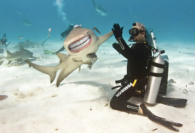 Sharks With Human Mouths Are Unsettlingly Silly