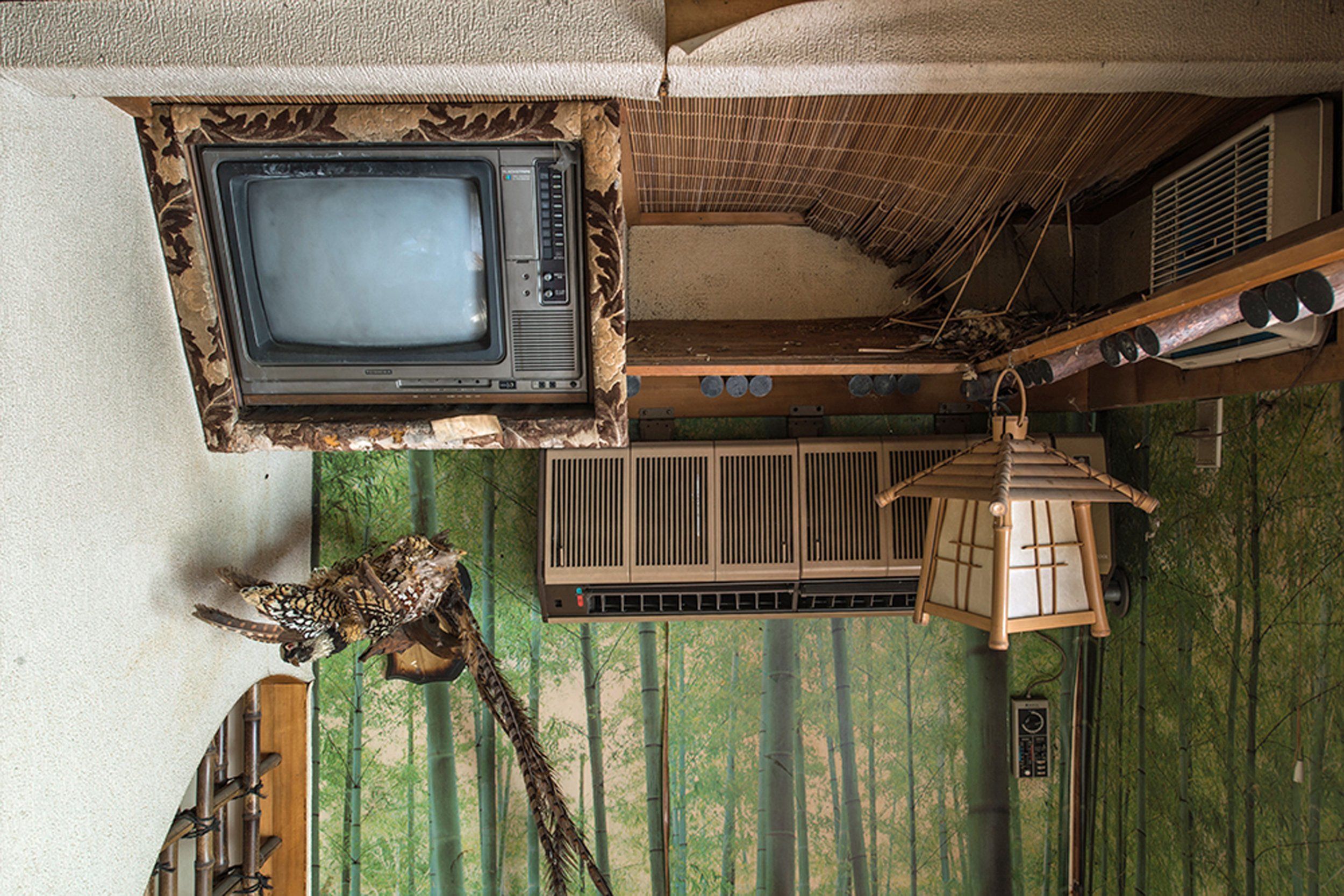 Pictured, a traditional lamp hangs off a top shelf in a room, next to a stuffed bird. Even though the suite is supposed to model a Japanese woodland scene, it features a TV and air conditioners.